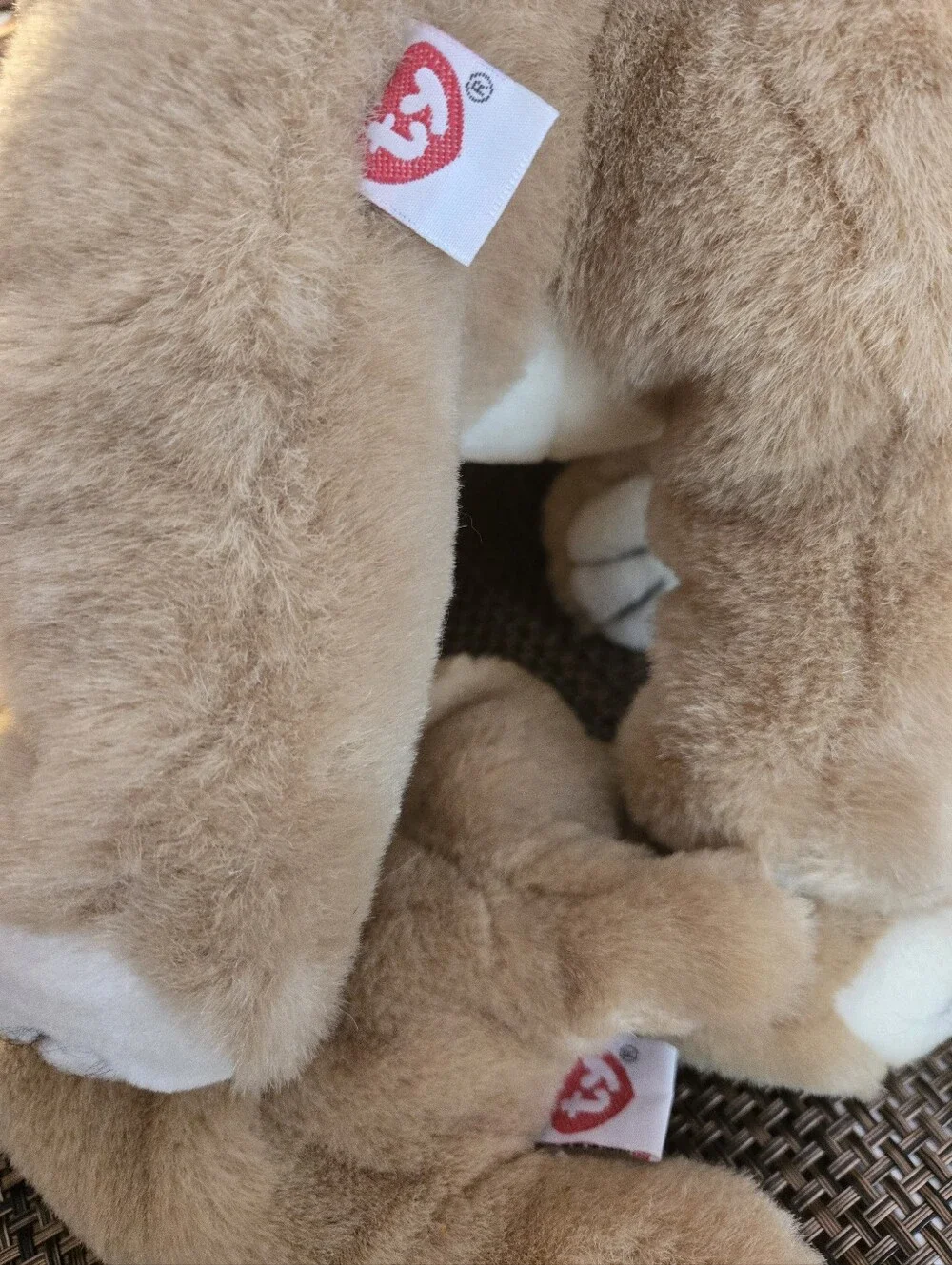 Ty Winston and Wrinkles Pair